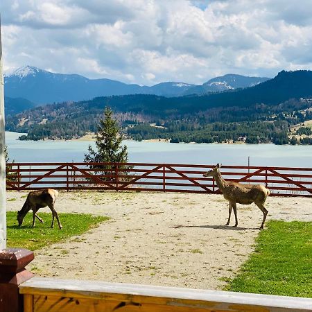 Pensiunea Farmecul Naturii Si Casute Individuale De Inchiriat Colibiţa Buitenkant foto